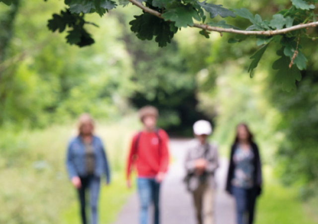Événements Nature & Vous