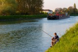 canal-scarpe-p-che-p-niche-douaisis-nord-france-c-adlanglet-2419