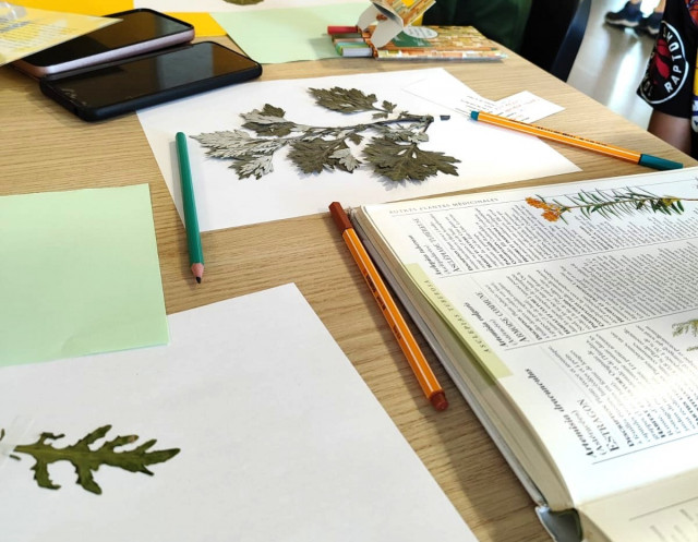 botaniste-en-herbe1-format-paysage-cr-dits-alana-bornshein-3799