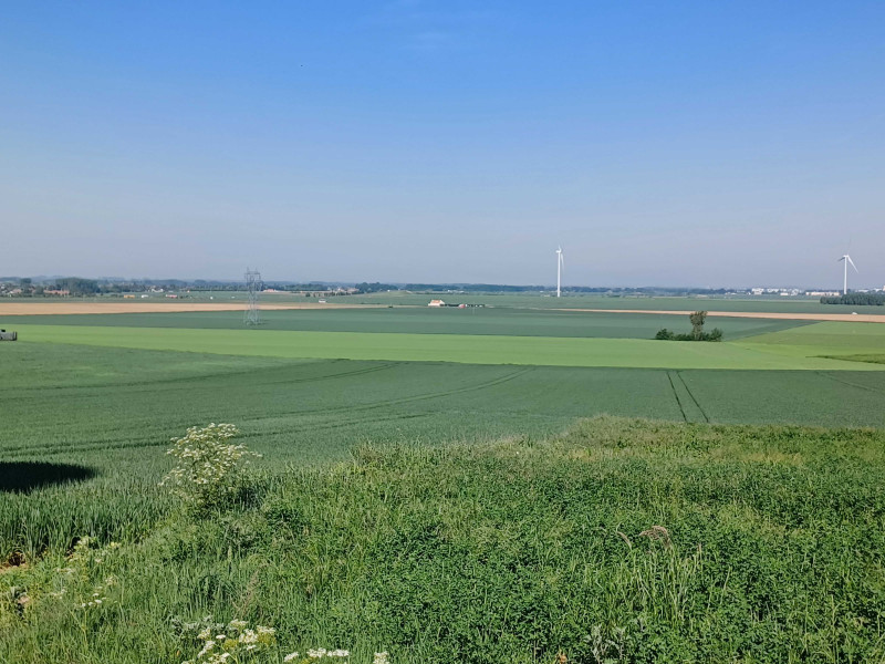 20250514-101501-3217