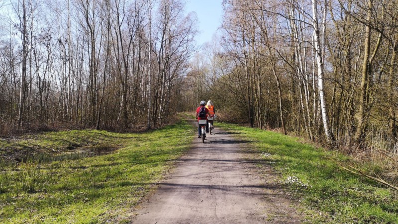 bdimg-20210329-160435-928