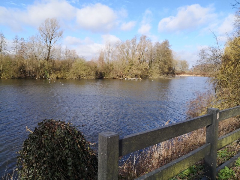 boucle-du-vivier-randonn-e-sin-le-noble-douaisis-c-douaisis-tourisme-34-2421