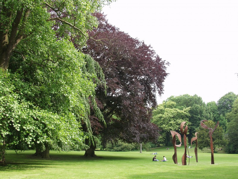 c-d-langlet-parc-bertin-30-379