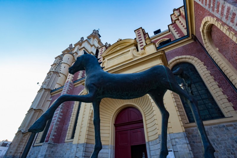 cheval-de-flanagan-douai-douaisis-nord-france-jpg-952