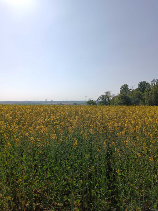 img-20250429-171646-3216