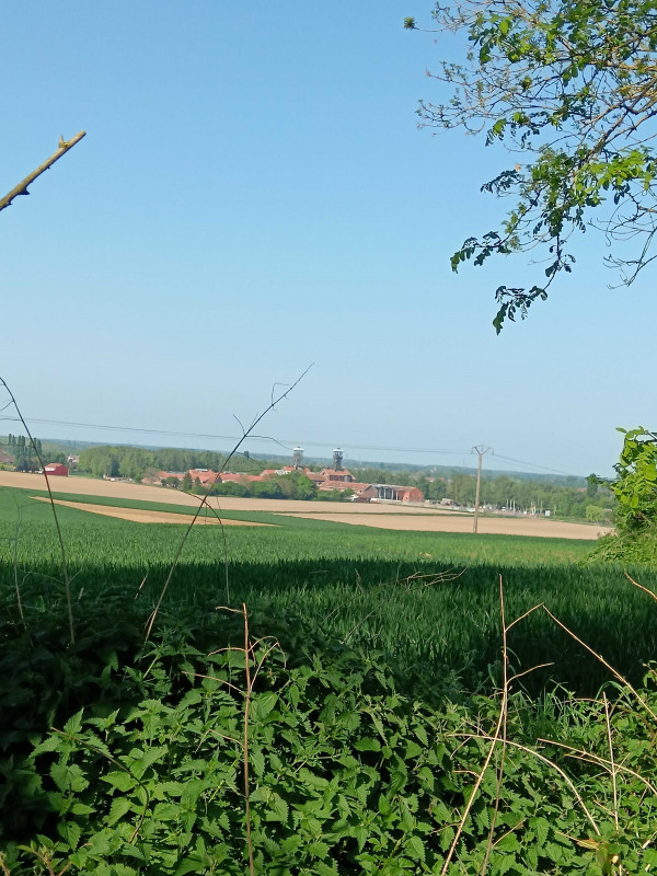 img-20250429-171930-3215