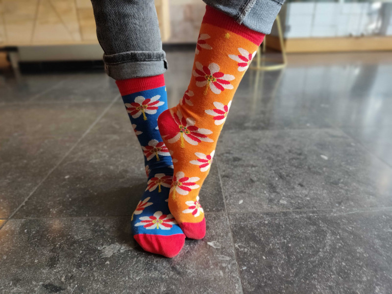 img20240723123741-2919