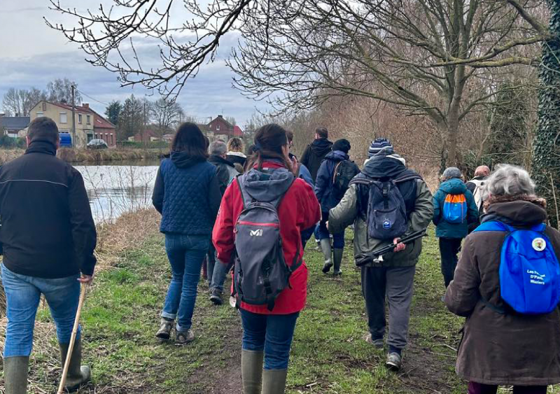 marche-3735 marche-3735