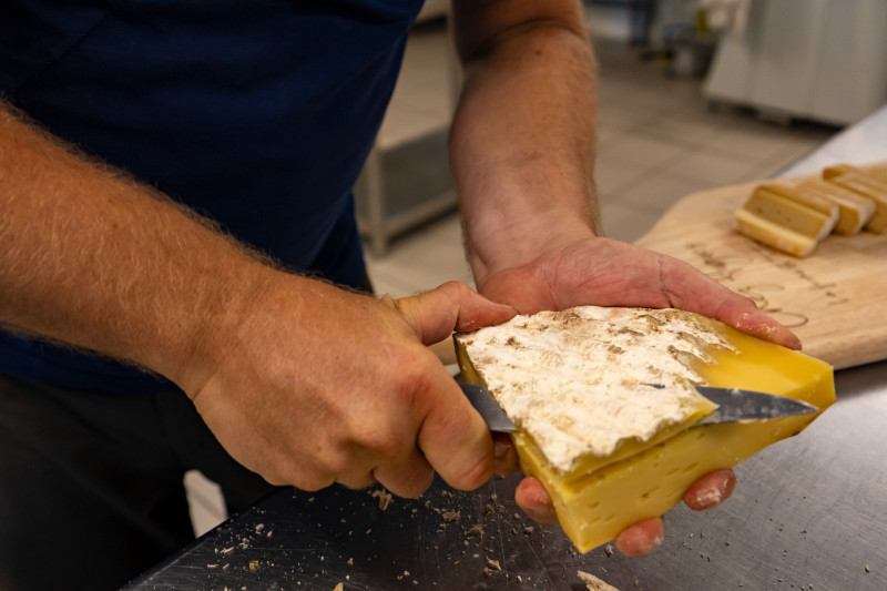 sophromage-parenth-se-bien-tre-ferme-du-tertre-villers-au-tertre-douaisis-nord-france-c-adlanglet-2627